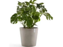 Ecopots Pflanztopf Amsterdam Braungrau 60 cm