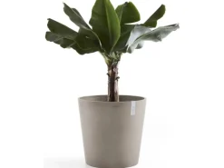 Ecopots Pflanztopf Amsterdam Braungrau 60 cm