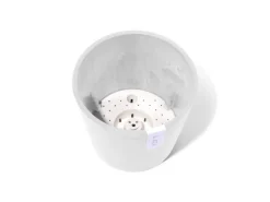 Ecopots Pflanztopf Amsterdam Weiß 20 cm x 17,5 cm