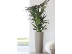 Ecopots Pflanztopf Amsterdam hoch Braungrau 70 cm