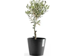 Ecopots Pflanztopf Amsterdam Dunkelgrau 20 cm