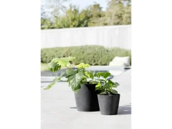 Ecopots Pflanztopf Amsterdam Dunkelgrau 20 cm