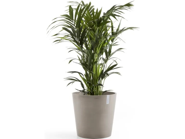 Ecopots Pflanztopf Amsterdam Braungrau 50 cm