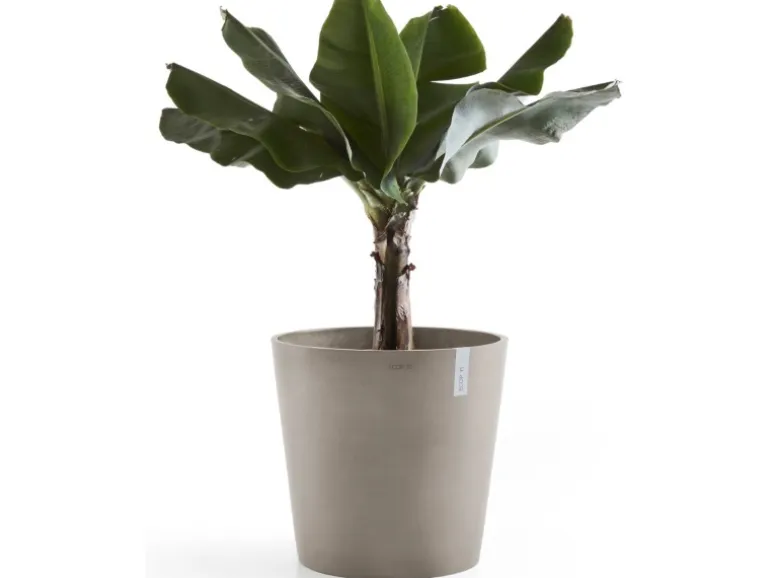 Ecopots Pflanztopf Amsterdam Braungrau 50 cm