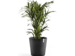 Ecopots Pflanztopf Amsterdam Dunkelgrau 50 cm