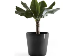 Ecopots Pflanztopf Amsterdam Dunkelgrau 50 cm