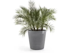 Ecopots Pflanztopf Amsterdam mit Rollen Ø 60 cm Grau