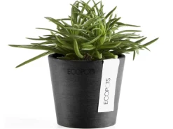 Ecopots Pflanztopf Amsterdam Mini Dunkelgrau 8 cm