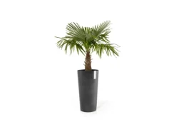 Ecopots Pflanztopf Amsterdam Hoch Dunkelgrau 41 cm x 76 cm