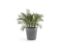 Ecopots Pflanztopf Amsterdam Rollen Grau Ø 100 cm / Höhe 87,5 cm