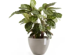 Ecopots Pflanztopf Antwerp Braungrau 40 cm