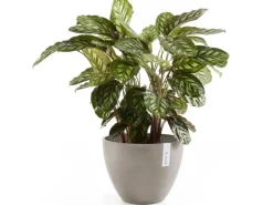 Ecopots Pflanztopf Antwerp Braungrau 30 cm