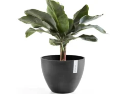 Ecopots Pflanztopf Antwerp Dunkelgrau 30 cm