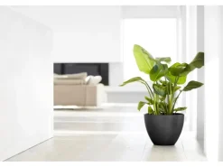 Ecopots Pflanztopf Antwerp Dunkelgrau 40 cm