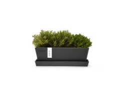 Ecopots Pflanztopf Bruges Mini Dunkelgrau 25 cm x 9 cm x 8,4 cm