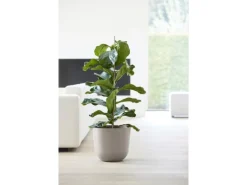 Ecopots Pflanztopf Oslo Braungrau Ø 35 cm / Höhe 30,5 cm