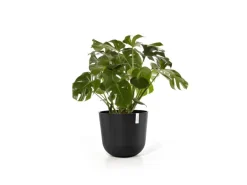 Ecopots Pflanztopf Oslo Dunkelgrau 55 cm x 47,9 cm