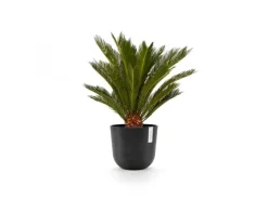 Ecopots Pflanztopf Oslo Dunkelgrau 25 cm x 21,8 cm