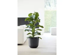 Ecopots Pflanztopf Oslo Dunkelgrau 35 cm x 30,5 cm