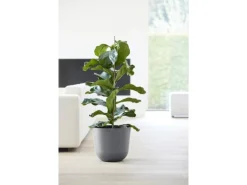 Ecopots Pflanztopf Oslo Grau 35 cm x 30,5 cm