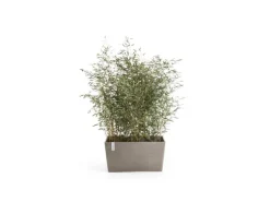 Ecopots Pflanztopf Paris Braungrau 60 cm 26 cm x 40 cm