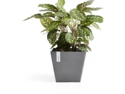 Ecopots Pflanztopf Rotterdam Grau (HxBxT) 35 x 40 x 40 cm