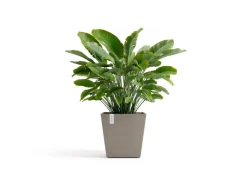Ecopots Pflanztopf Rotterdam Braungrau 45,4 cm x 44 cm