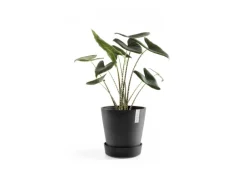 Ecopots Untersetzer Amsterdam Rollen Dunkelgrau 28,7 cm x 8,3 cm