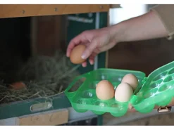 Eier-Transportbox für 12 Eier