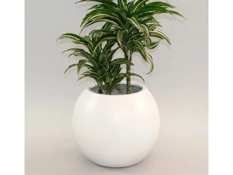 Elegant Einrichten Pflanzkübel Fiberglas Ball D40xH32cm Perlmutt-Weiß