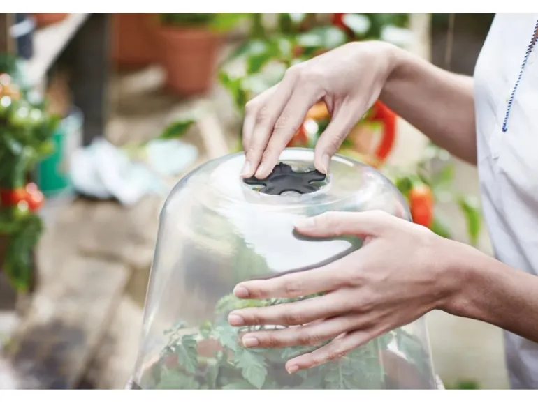 Elho Anzuchthaube Green Basics Ø 30 cm x 23 cm Transparent