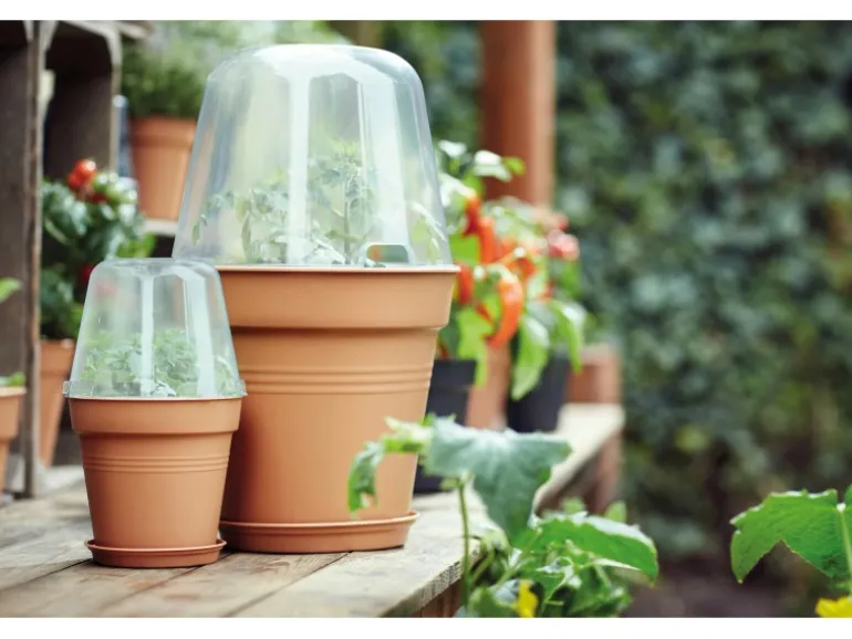 Elho Anzuchthaube Green Basics Ø 17 cm x 14 cm Transparent