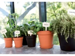 Elho Anzuchttopf Green Basics Ø 19 cm living schwarz