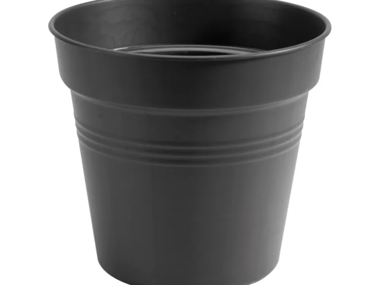 Elho Anzuchttopf Green Basics Ø 21 cm living schwarz