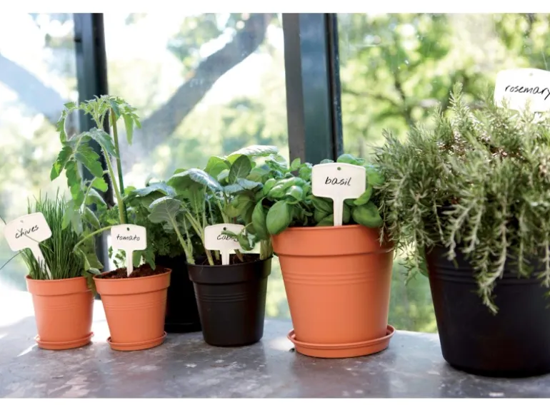 Elho Anzuchttopf Green Basics Ø 21 cm living schwarz