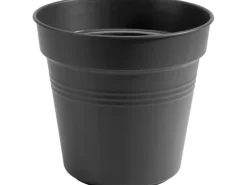 Elho Anzuchttopf Green Basics Ø 11 cm living schwarz