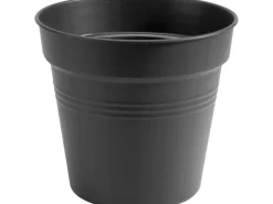 Elho Anzuchttopf Green Basics Ø 13 cm living schwarz