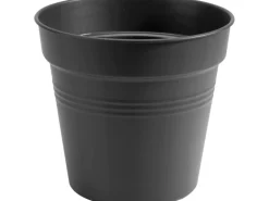 Elho Anzuchttopf Green Basics Ø 35 cm living schwarz
