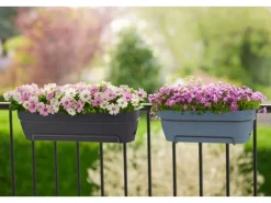 Elho Balkonkasten Vibia Campana 50 cm x 26 cm x 17 cm Anthrazit