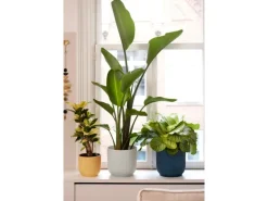 Elho Übertopf Vibes Fold Ø 25 cm x 23 cm Seidenweiß