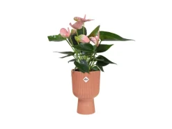 Elho Übertopf Vibes Fold Coupe 14 cm x 13,9 cm x 21 cm Zartrosa