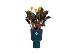 Elho Übertopf Vibes Fold Coupe 14 cm x 13,9 cm x 21 cm Blau