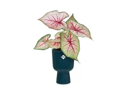 Elho Übertopf Vibes Fold Coupe 14 cm x 13,9 cm x 21 cm Blau