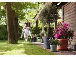 Elho Blumentopf Algarve Cilindro Ø 35 cm x 29 cm Terrakotta