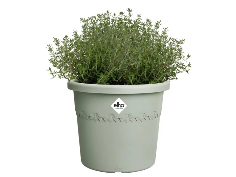 Elho Blumentopf Algarve Cilindro Ø 25 cm x 21 cm Grün