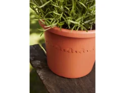 Elho Blumentopf Algarve Cilindro Ø 29 cm x 25 cm Terrakotta