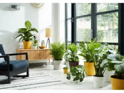 Elho Blumentopf B.for Original Mini Ø 13 cm x 12 cm Warmes Grau