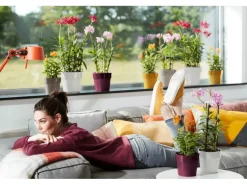 Elho Blumentopf B.for Original Ø 14 cm x 13 cm Weiß