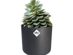 Elho Blumentopf B.For Soft Rund Ø 29,5 cm Anthrazit