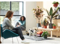 Elho Blumentopf B.For Soft Rund Ø 18,3 cm Anthrazit